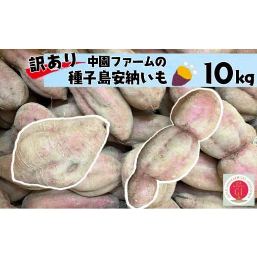ふるさと納税 野菜類 サツマイモ 鹿児島県 西之表市 訳あり 中園ファーム 種子島 安納いも ( 生...