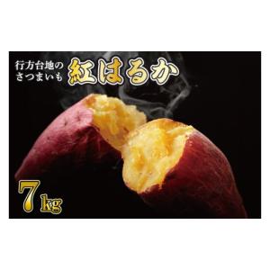 ふるさと納税 野菜類 サツマイモ 茨城県 行方...の詳細画像1