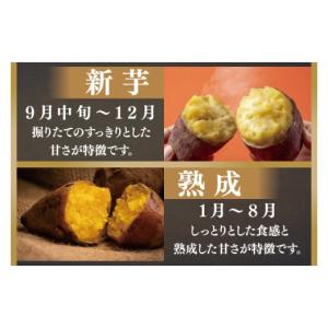 ふるさと納税 野菜類 サツマイモ 茨城県 行方...の詳細画像5