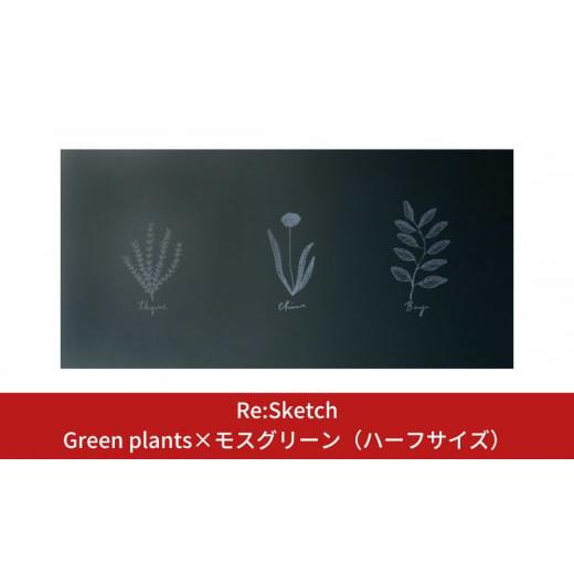 ふるさと納税 新潟県 三条市 壁に貼るインテリア黒板 Re:Sketch Green plants×...