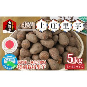ふるさと納税 人参・大根・他根菜 福井県 大野市  先行予約 減農薬・減化学肥料の特別栽培里芋上庄里芋 土芋5kg 10月上旬から順次発送 農家直送