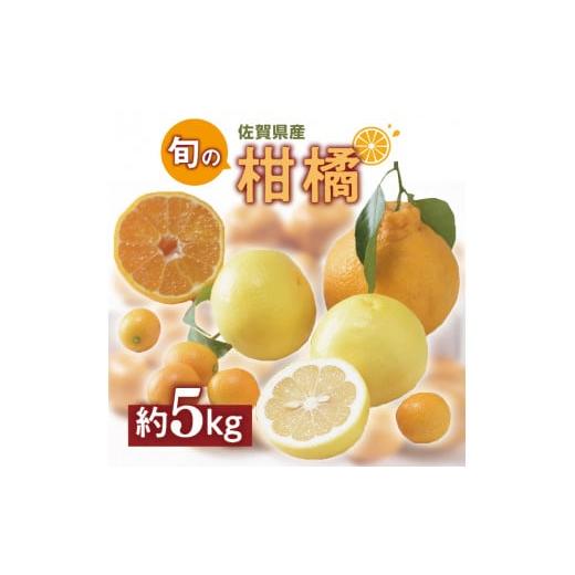 ふるさと納税 果物類 みかん 佐賀県 伊万里市 佐賀の旬の柑橘をお届け 佐賀産かんきつ5kg 147...