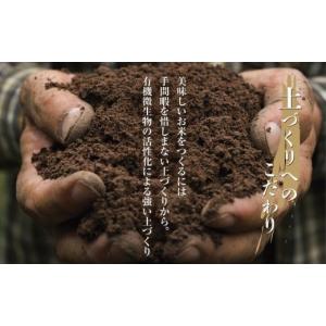 ふるさと納税 無洗米 新潟県 南魚沼市 定期便...の詳細画像4