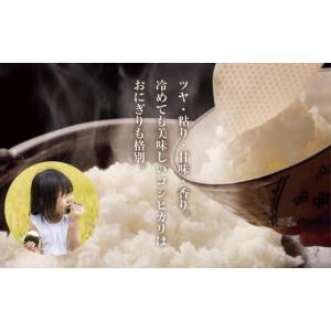 ふるさと納税 無洗米 新潟県 南魚沼市 定期便...の詳細画像5