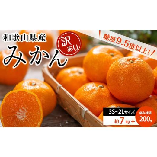 ふるさと納税 和歌山県 那智勝浦町 和歌山県産 糖度9.5度 以上 訳あり みかん 7kg 傷み補償...