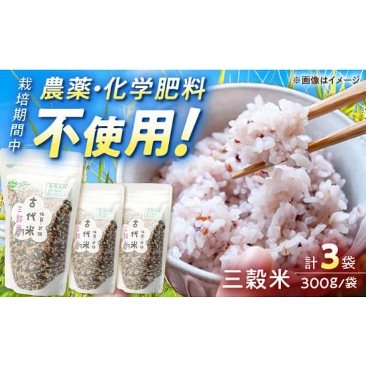ふるさと納税 雑穀 佐賀県 武雄市  自然農法で育てた 古代米 三穀米 （黒米・赤米・緑米） 900...