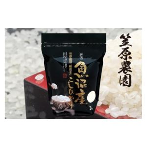 ふるさと納税 南魚沼市 【毎月定期便】南魚沼産コシヒカリ「塩沢地区