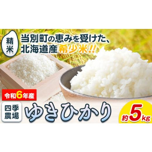 ふるさと納税 北海道 当別町 [0.6-202]【令和6年産先行予約】精米ゆきひかり5kg お米 米...