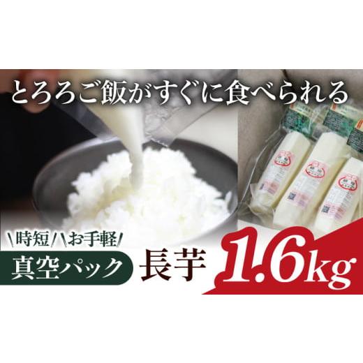 ふるさと納税 人参・大根・他根菜 岩手県 滝沢市  2025年 12月上旬より発送開始 食べたいとき...