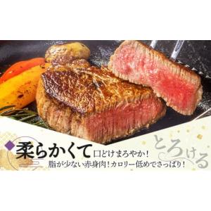 ふるさと納税 牛肉 ヒレ 佐賀県 上峰町 6回...の詳細画像3