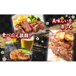 ふるさと納税 牛肉 ヒレ 佐賀県 上峰町 6回...の詳細画像5