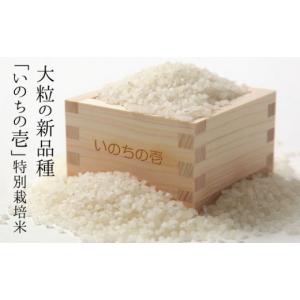 ふるさと納税 米 岐阜県 飛騨市 先行予約》定...の詳細画像1