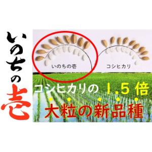 ふるさと納税 米 岐阜県 飛騨市 先行予約》定...の詳細画像2