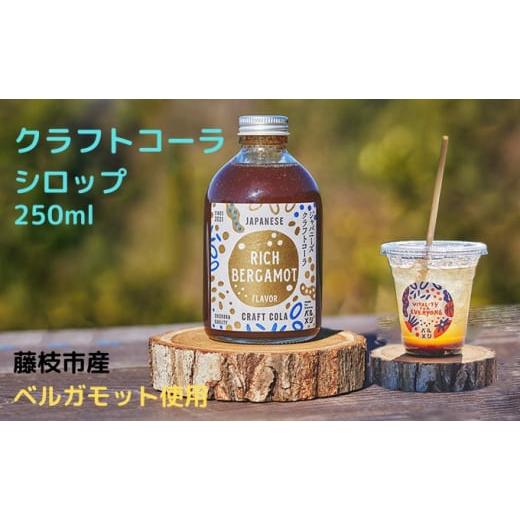 ふるさと納税 静岡県 藤枝市 クラフト コーラ シロップ 希釈タイプ 250ml ベルガモット フレ...