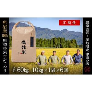 ふるさと納税 米 コシヒカリ 新潟県 津南町 定...の商品画像