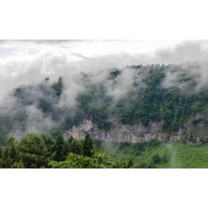 ふるさと納税 米 コシヒカリ 新潟県 津南町 ...の詳細画像4