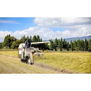 ふるさと納税 米 コシヒカリ 新潟県 津南町 ...の詳細画像5