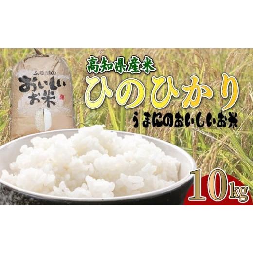 ふるさと納税 米 ヒノヒカリ 高知県 黒潮町  ふるさと納税 令和7年度産 白米 10kg ひのひか...