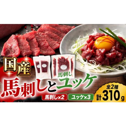 ふるさと納税 馬肉 熊本県 山鹿市 国産馬刺し と ユッケ のセット 3585 ZDT021 国産 ...