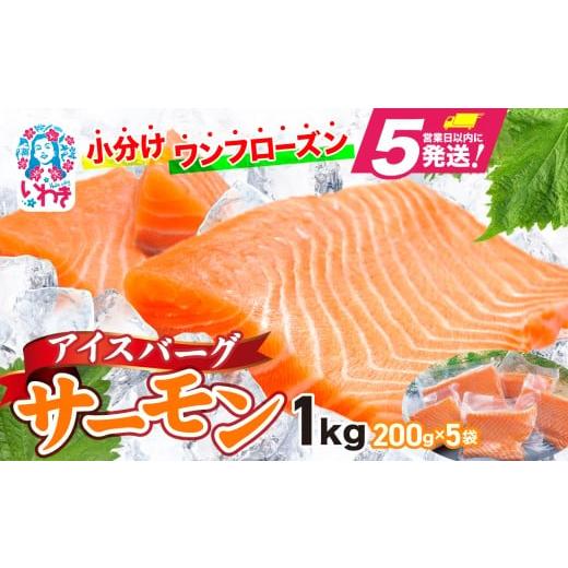 ふるさと納税 魚貝類 サーモン 福島県 いわき市 アイスバーグサーモン（アトランティックサーモン）　...