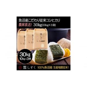 ふるさと納税 米 コシヒカリ 新潟県 十日町市 ...の商品画像