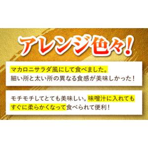 ふるさと納税 そうめん 長崎県 南島原市 そう...の詳細画像3