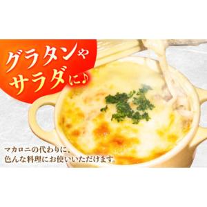 ふるさと納税 そうめん 長崎県 南島原市 そう...の詳細画像5