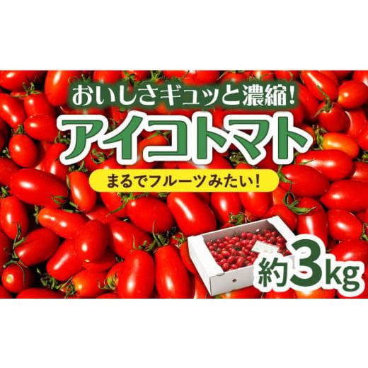 ふるさと納税 長崎県 南島原市 【完熟ミニトマト】アイコトマト 約3kg 南島原市 ／ とまと トマ...