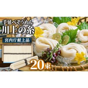 ふるさと納税 そうめん 長崎県 南島原市 お中...の詳細画像1