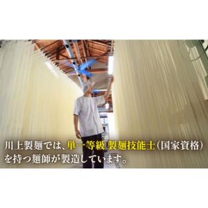 ふるさと納税 そうめん 長崎県 南島原市 そう...の詳細画像5