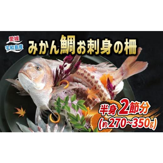 ふるさと納税 愛媛県 宇和島市 みかん鯛 270g~350g 半身 2節 宇和島プロジェクト みかん...