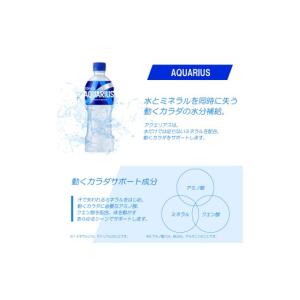 ふるさと納税 飲料類 滋賀県 守山市 アクエリ...の詳細画像3