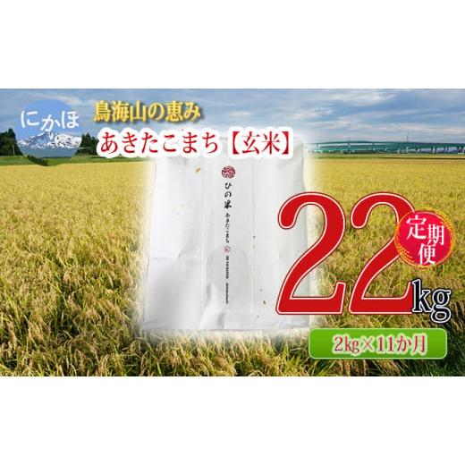 ふるさと納税 秋田県 にかほ市 《定期便》2kg×11ヶ月 鳥海山の恵み！秋田県産 あきたこまち ひ...