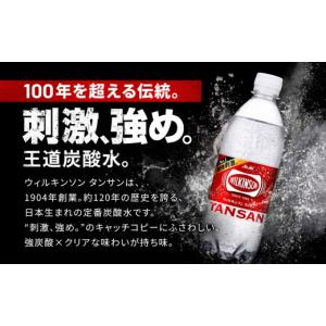 ふるさと納税 炭酸飲料 ソーダ水 兵庫県 神戸...の詳細画像2