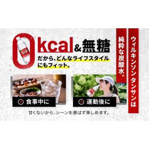ふるさと納税 炭酸飲料 ソーダ水 兵庫県 神戸...の詳細画像4