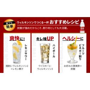 ふるさと納税 炭酸飲料 ソーダ水 兵庫県 神戸...の詳細画像5