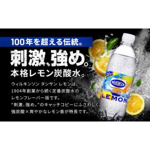 ふるさと納税 炭酸飲料 ソーダ水 兵庫県 神戸...の詳細画像2