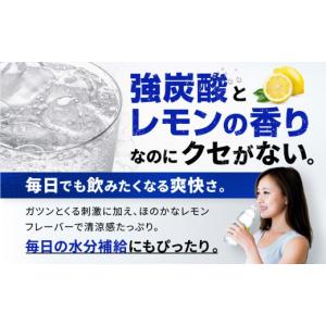 ふるさと納税 炭酸飲料 ソーダ水 兵庫県 神戸...の詳細画像3