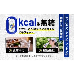 ふるさと納税 炭酸飲料 ソーダ水 兵庫県 神戸...の詳細画像4