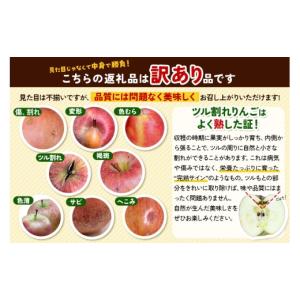 ふるさと納税 りんご 青森県 弘前市 26年1...の詳細画像2