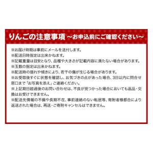 ふるさと納税 りんご 青森県 弘前市 26年1...の詳細画像3