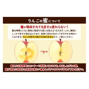 ふるさと納税 りんご 青森県 弘前市 26年1...の詳細画像4