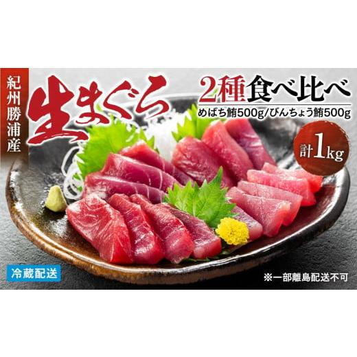 ふるさと納税 マグロ 和歌山県 那智勝浦町 生まぐろ２種食べ比べセット　 一部離島配送不可