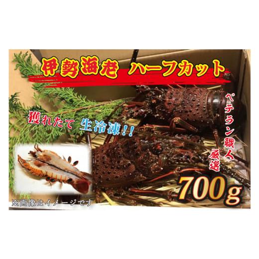 ふるさと納税 エビ 伊勢エビ 茨城県 大洗町  12月25日決済確定分まで年内発送 生冷凍 伊勢海老...