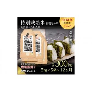ふるさと納税 米 コシヒカリ 新潟県 十日町市 通年受付 令和8年産 定期便／全12回 農家直送 魚沼産コシヒカリ特別栽培「白羽毛の米」精米(5kg×5袋)×12回 30…