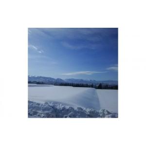 ふるさと納税 米 コシヒカリ 新潟県 十日町市...の詳細画像5