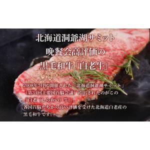 ふるさと納税 牛肉 ハンバーグ 北海道 白老町...の詳細画像5