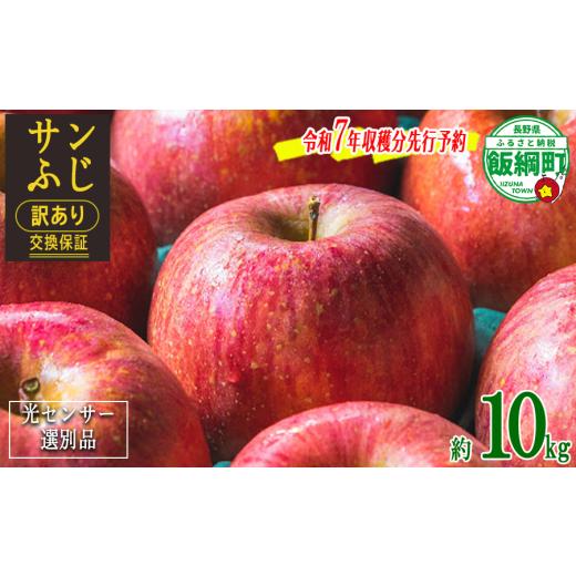 ふるさと納税 りんご 長野県 飯綱町 令和7年度収穫分先行予約品 りんご サンふじ 10Kg ( ...