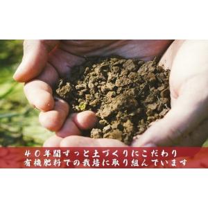 ふるさと納税 無洗米 新潟県 長岡市 J8-7...の詳細画像4