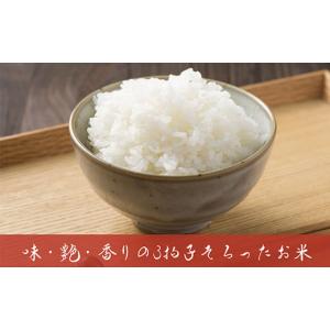 ふるさと納税 無洗米 新潟県 長岡市 J8-7...の詳細画像5